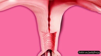 The Palefire Chronicles: A Tentacle Love Story