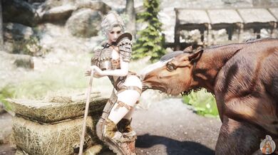 Unbridled Desires: A Tale of Equine Erotica