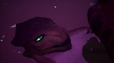 One-Eyed Diula and her Encounter with the Wild Life Commission