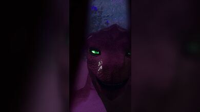 One-Eyed Diula and her Encounter with the Wild Life Commission