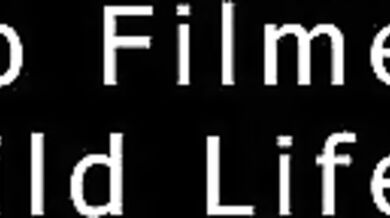 Wild Life: The Ultimate Hunt for Sexual Pleasure