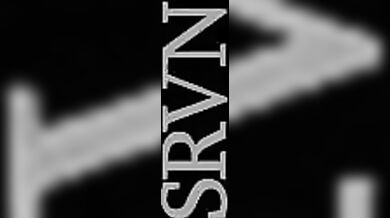 Sexy RPG Adventurer and her Mythical Doggo