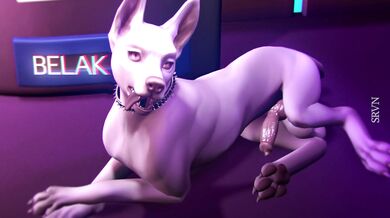 Sexy RPG Adventurer and her Mythical Doggo