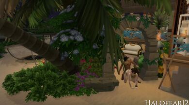 'Jungle fever heats up as an exotic tribal woman submits to her husband's violent demands!' (teaser)