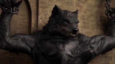 Kinky Penitence with Stephen Core