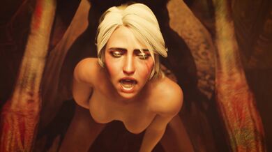 'Ciri and Katakana [Anal] [Intro] [Zmsfm]'