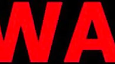 "Lost in the Wall: A Hentai Adventure"