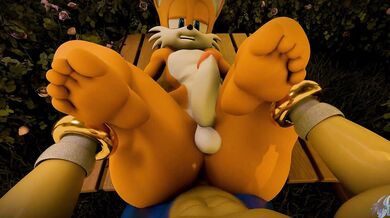 Watch as Sonic the Hedgehog and Tails engage in hot, steamy intercourse from their respective perspectives in this thrilling POV hentai video.