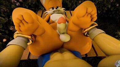 Watch as Sonic the Hedgehog and Tails engage in hot, steamy intercourse from their respective perspectives in this thrilling POV hentai video.