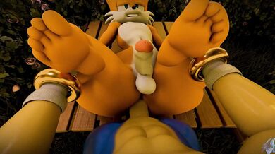 Watch as Sonic the Hedgehog and Tails engage in hot, steamy intercourse from their respective perspectives in this thrilling POV hentai video.