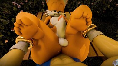 Watch as Sonic the Hedgehog and Tails engage in hot, steamy intercourse from their respective perspectives in this thrilling POV hentai video.