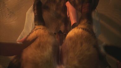 Forbidden Desires - The Wild Life: A Stormy Night