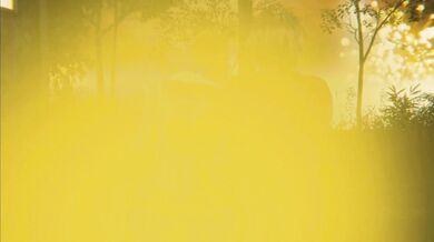 Warm and Tender Affection - [ElSharkoDiablo]