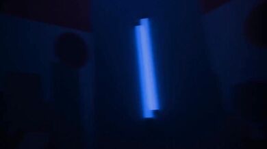 Sleepy Kittens Love Games and Purrs