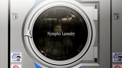 Washing Machine Sex: The Naughty Housewife and the Horny Detergent