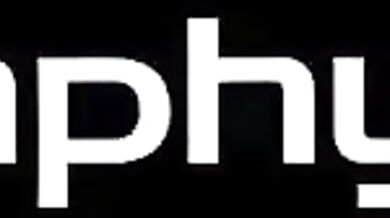 Analysis of the Sexual Experiences of a Compilation