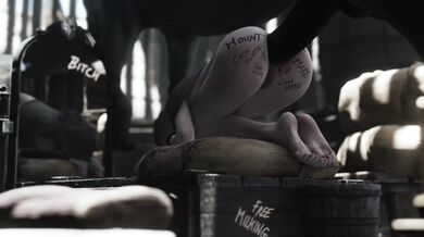 Melina and her Horse Body Writings [ZMSFM] [4k]