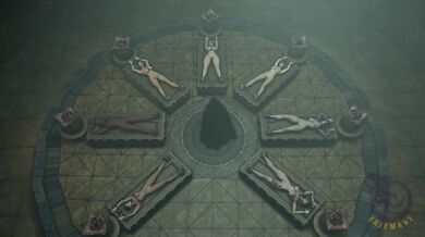 Communion Cult Facehugger Ritual