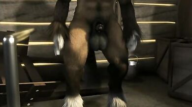 Sucking the Horse Cock: An Erotic Adventure