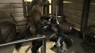 Sucking the Horse Cock: An Erotic Adventure