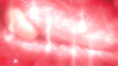 Unleashing the Beast Within: 3D HMV Derpixon Implications