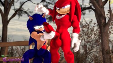 The Erotic Adventures of Sonic and Knuckles: A Hand Job in the Green Hills Zone