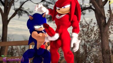 The Erotic Adventures of Sonic and Knuckles: A Hand Job in the Green Hills Zone