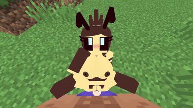 Minecraft Sex Mod - Bee Schnurri TV