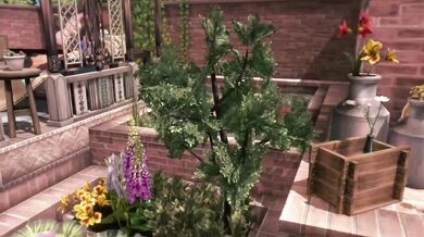 The NTR Family [Japanese 8005]