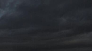 One Handed Blowjob for a Thousand Bucks