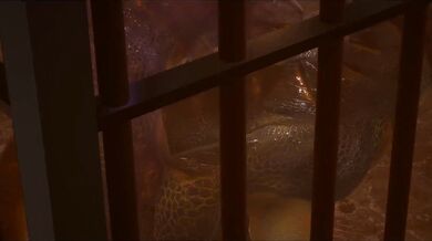 Sexual Tension Between High School Teacher and Student Sizzles in the Classroom