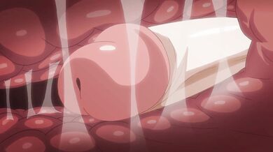 Futa on Fire: Anime Futans and their Sexy Adventures