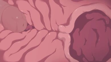 Hey there! How about watching a hot and steamy hentai porn video called Velvet Doggy Kamikaze?