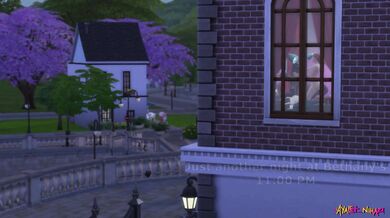 Booty Call Best Friends Hot Tail