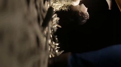 Rewritten: Lara, the adventurer, is about to be fucked by a horse in an exotic land filled with danger and excitement!