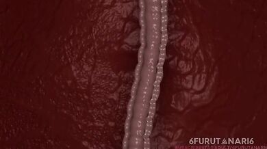 Hentai Anal Riding Loona and Estra