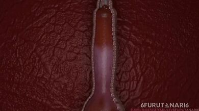 Hentai Anal Riding Loona and Estra