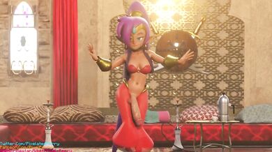 The Secret Dance Society: Shantae and the Eternal Loop of Sensuality