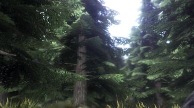 The Assumptions of the Werewolf