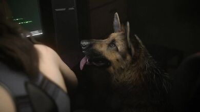 Claires Puppy [POV Benis]