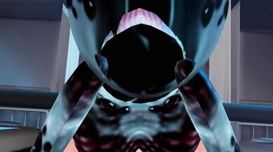 A young girl explores her sexuality with ants, spiders, and bees in [Lososos] First Insect Video