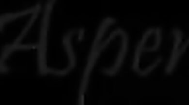 Wild Hentai Adventure PMV