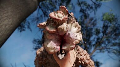 Alice is crying while she clicks on her mouse and keyboard in a dark room, increasing the intensity of the scene with every click