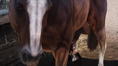 The Stable Masters Secret Lust for Camilla, Part 3: A Horse-Shaped Fantasy Fulfilled