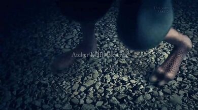 Unbridled Passion in the Midnight Forest