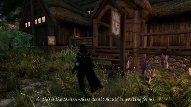 The Witchers White-Haired Lover - A Love Story of Yennefer and The Lizard King!