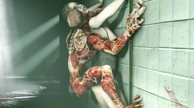 Dangerous Tunnel - Dezmalls Ultimate Obsession