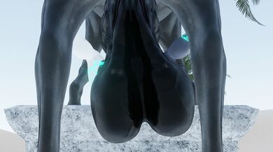 The Priestess' Ultimate Act of Love for the Brotherhood: Midna's Sacrifice