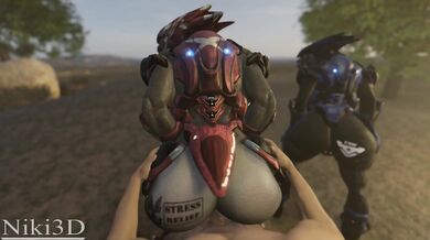 The Human Male and Female Sangheili - A Hentai Stress Relief Session with Niki3d