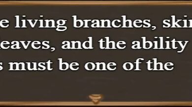 Claires Quest v0272 - 23 No Commentary (Bonus Scene)